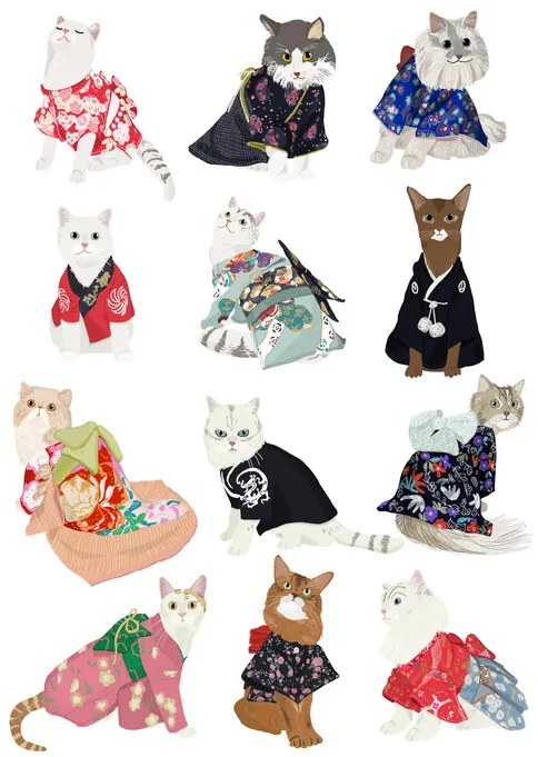 Ilustratie Cat In Kimono, Hanna Melin