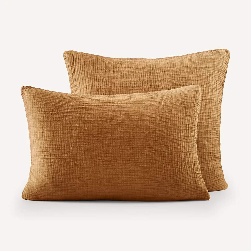 Kussensloop in biologisch tetra, Yafa