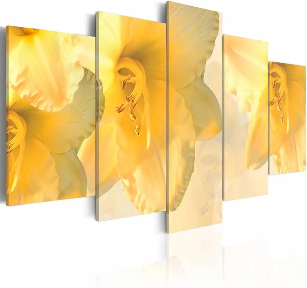 Schilderij - Droom over lelies , geel , 5 luik