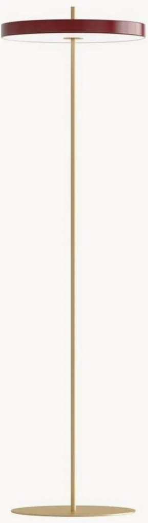 Dimbare LED-vloerlamp Asteria