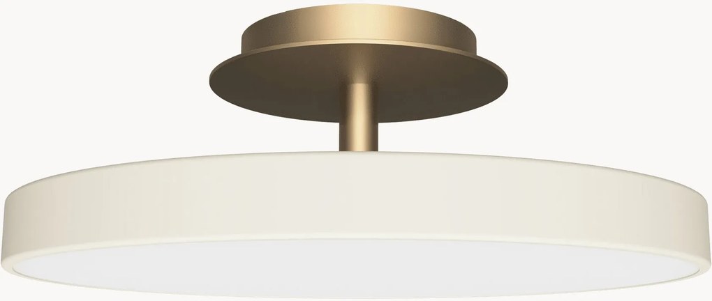 Dimbare LED plafondlamp Asteria Up Plus Mini