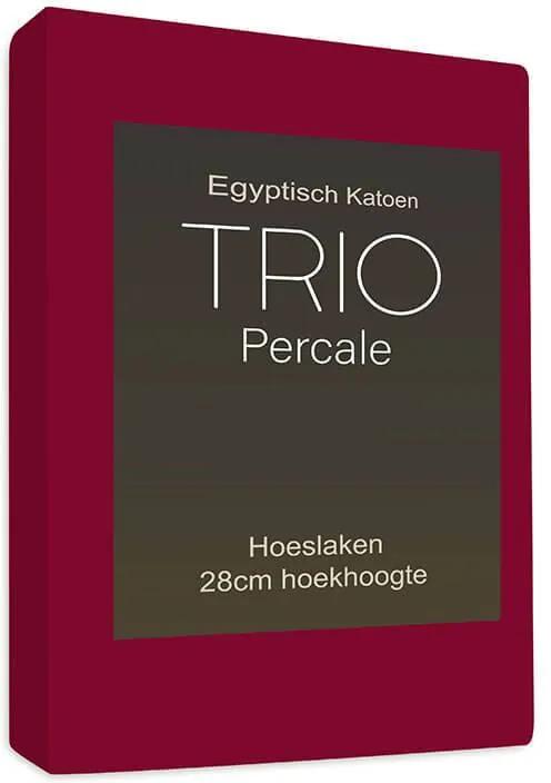 Sleepy Trio Hoeslaken Egyptisch Katoen - Bordeaux 90 x 220