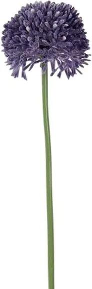 Allium Paars Groot 65 cm