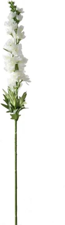 Ridderspoor wit, 70 cm