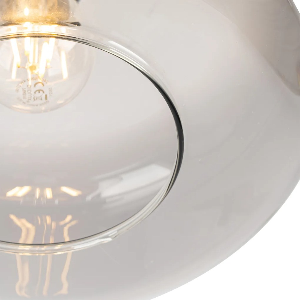 Smart plafondlamp met dimmer zwart met smoke glas incl. Wifi A60 - Bizle Modern E27 rond Binnenverlichting Lamp