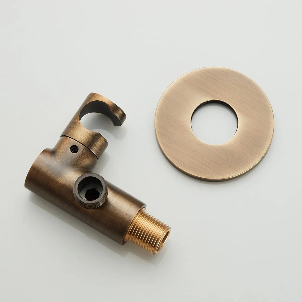 Saniclear Plus draaibare handdouche houder met wateraansluiting verouderd messing