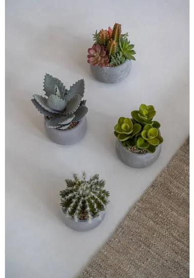 Mixplants in cement pot Small Mixed Colors | Cavetown