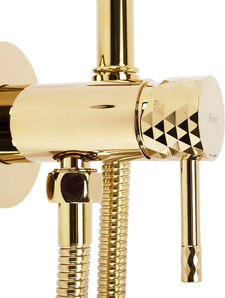 Inbouw Bidetmengkraan Rea Lungo Loop Diamond Gold