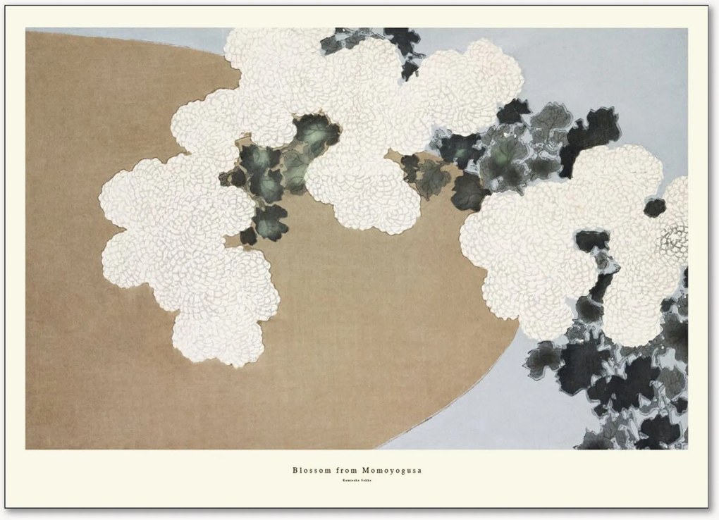 Poster Blossom From Momoyogusa