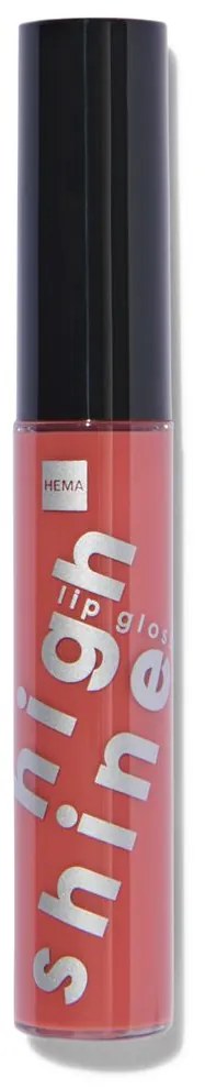 HEMA Hoogglanzende Lipgloss Brown (bruin)