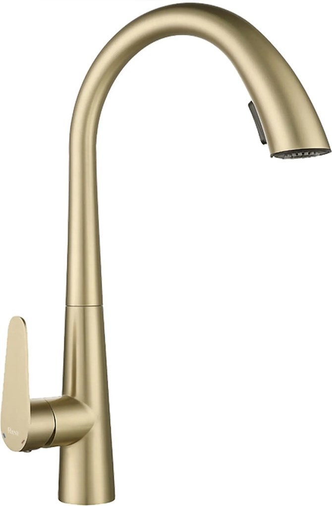 Keukenkraan REA Ross Gold Brush