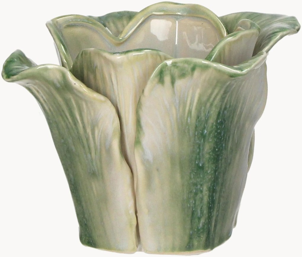 Plantenpot Cabbage