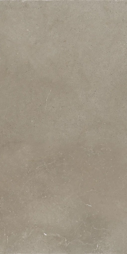 Jabo Hollstone Sour vloertegel taupe 30x60cm gerectificeerd