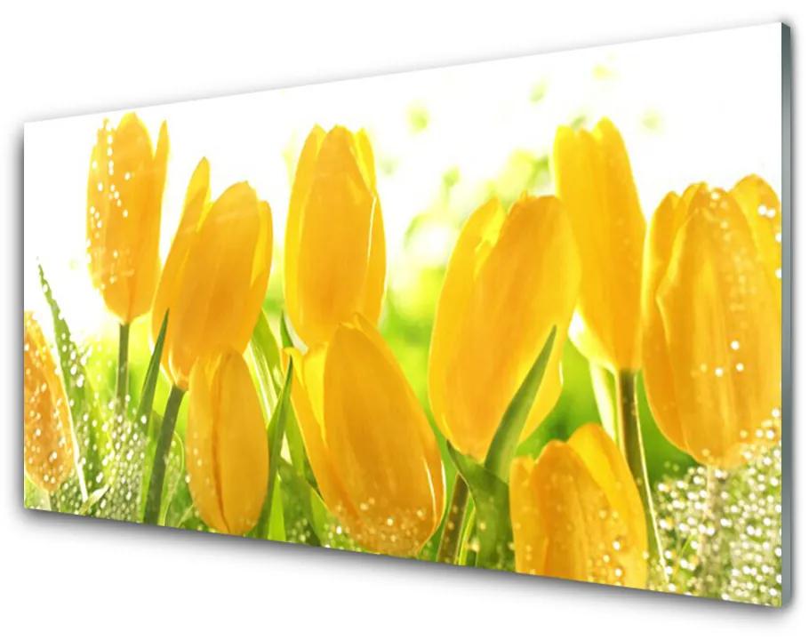 Foto in glas Tulpen bloemen plant 100x50 cm