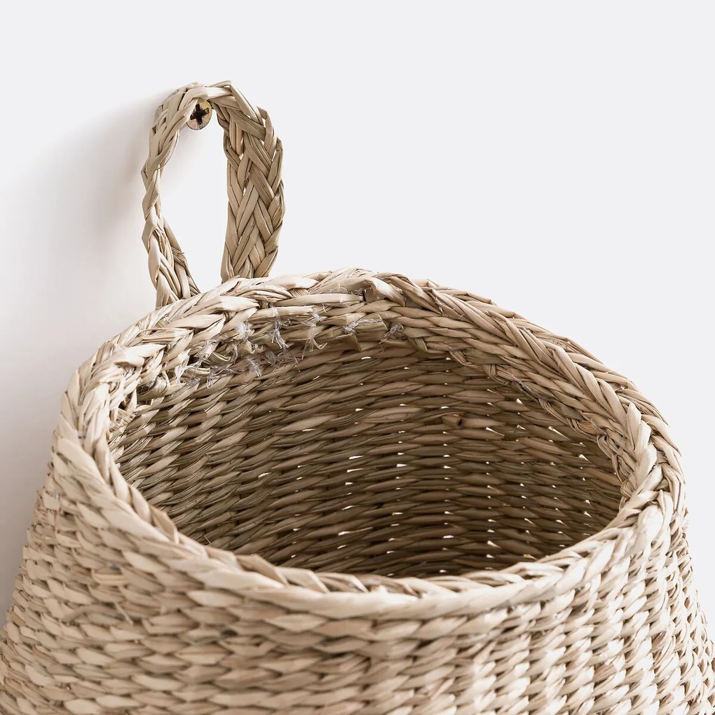 Mand in herbarium, Odura