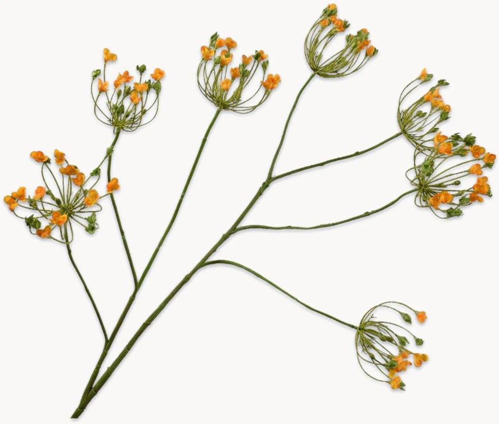 Handgemaakte kunsttakken Queen An Lace, 3-delig