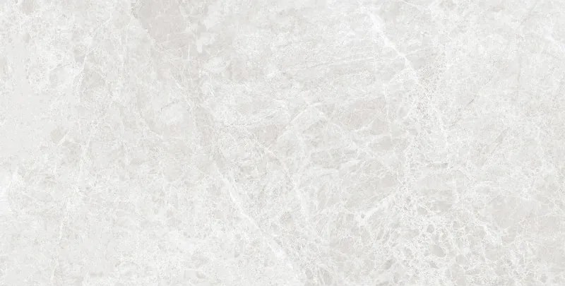 Mexen Lizard Silver geglazuurde gerectificeerde gres G1, vloer- en wandtegel 120 x 60 cm, glans - TL109-120-060-03