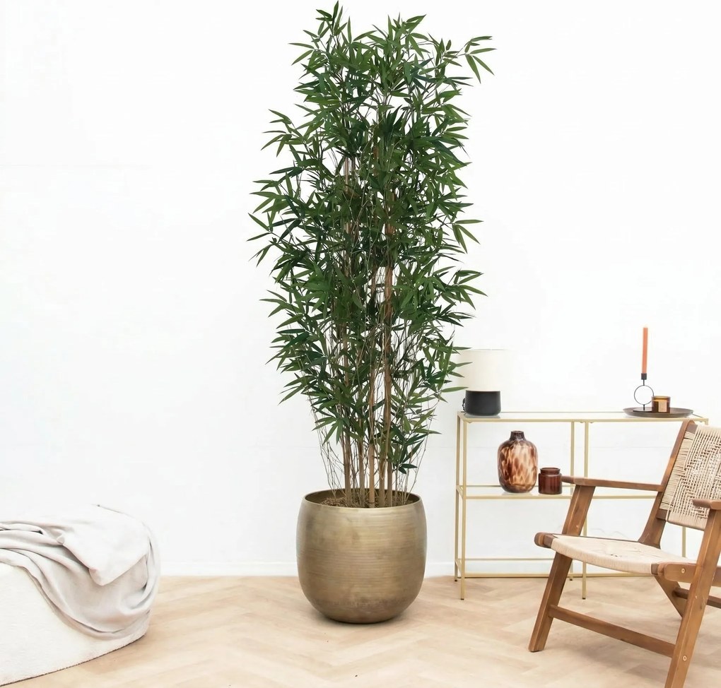Kunst Bamboe - 210cm