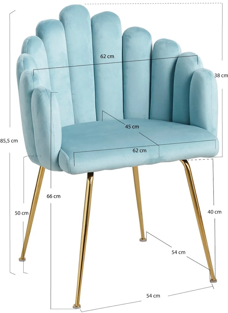 Bhoja stoel van fluweel