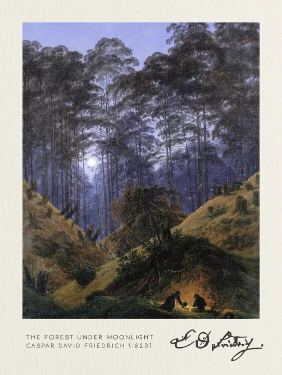 Kunstreproductie The Forest under Moonlight (Vintage Fantasy Landscape) - Casper David Friedrich