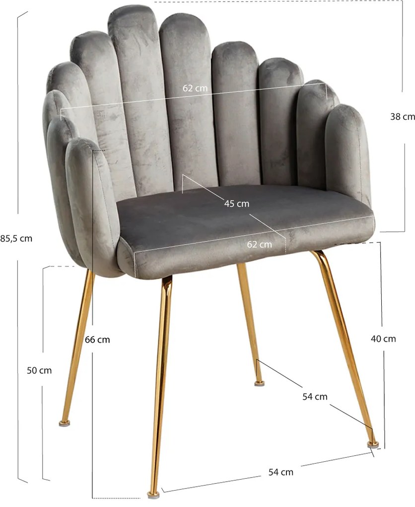 Bhoja stoel van fluweel