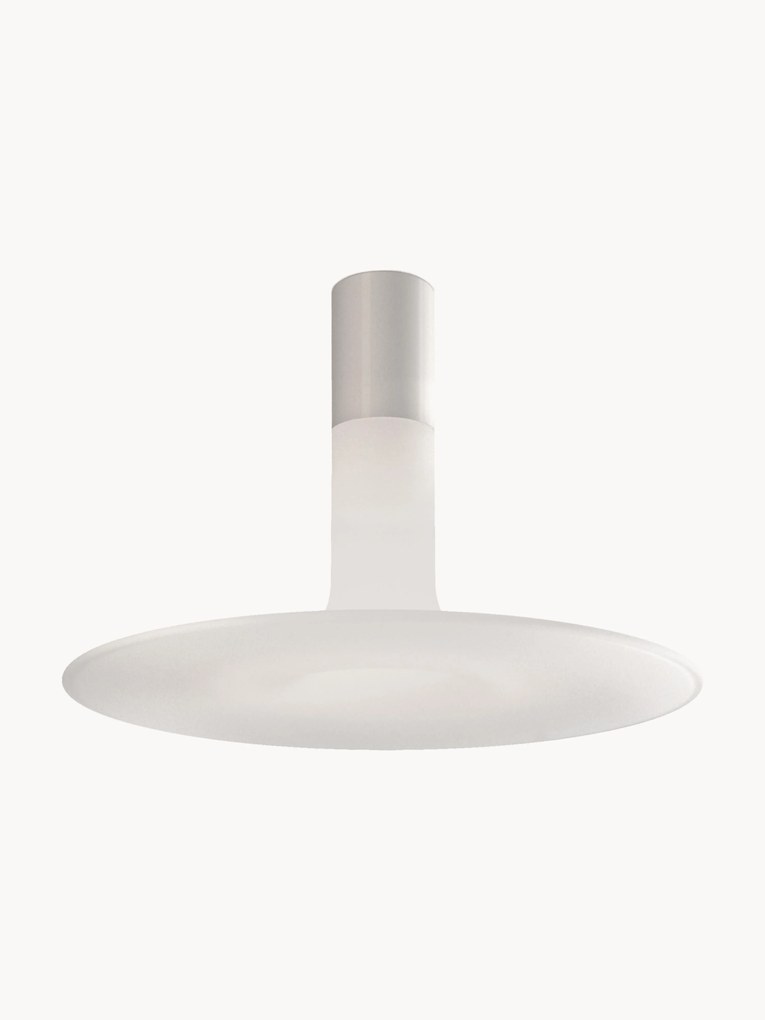 Dimbare plafondlamp Louis