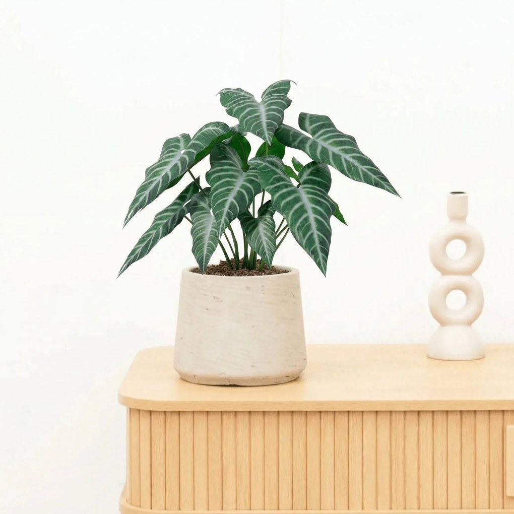 Kunst Alocasia polly - 49cm