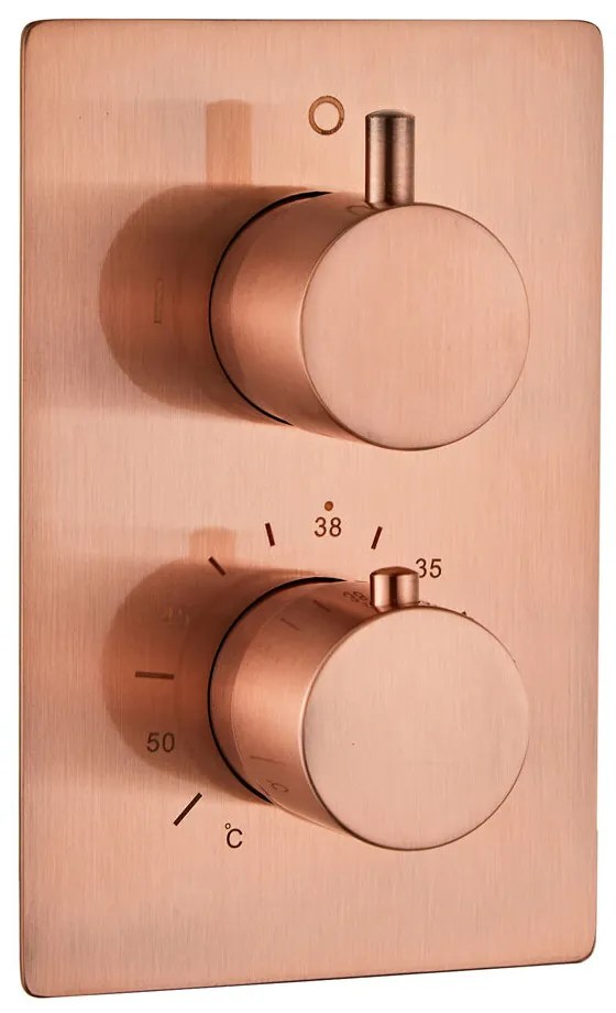 Saniclear Evolution inbouw regendouche met 2 standen handdouche geborsteld koper