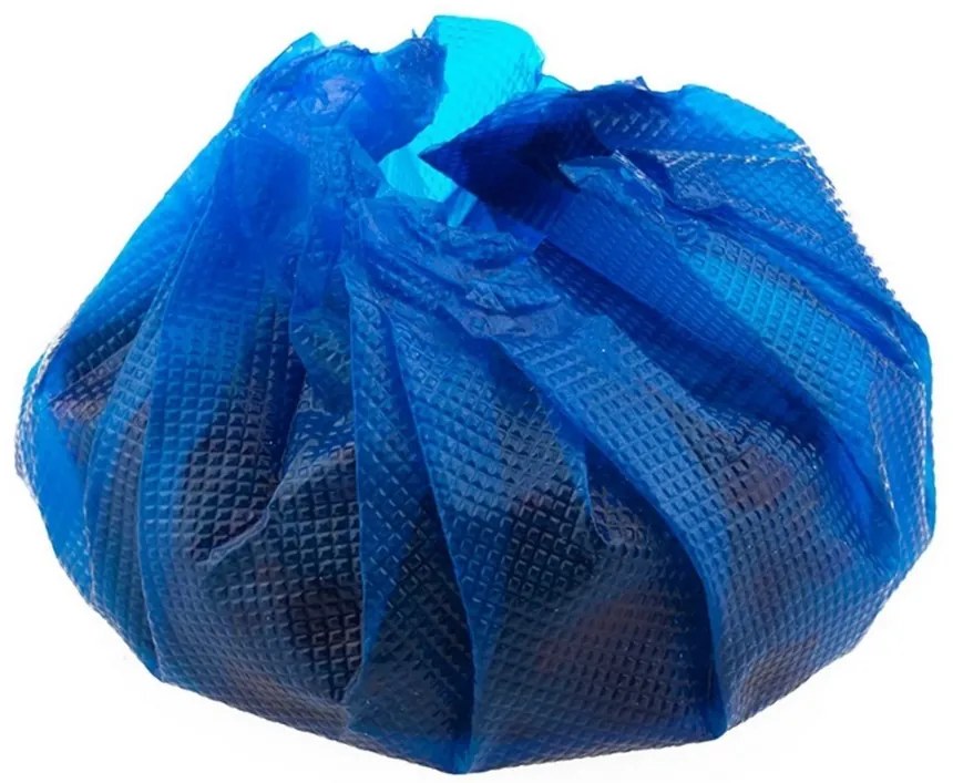 Nexxt Pure blauwe toiletblokjes 12 stuks