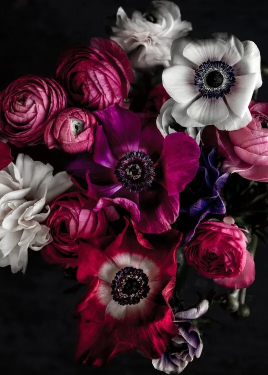 Foto Dark Flowers 1, Mareike Bohmer