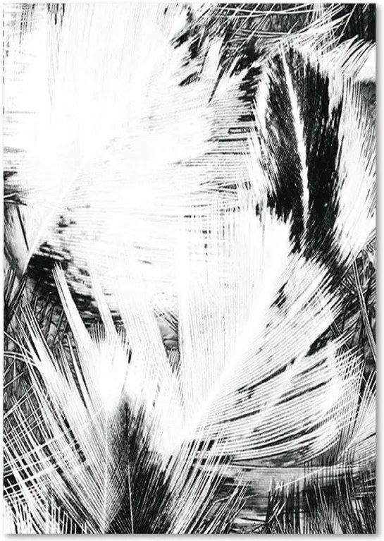 Schilderij - Bladerdak in zwart en wit