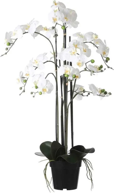 Phalaenopsis Kunstplant - H97 x Ø19 cm - Plastic Pot - Crème