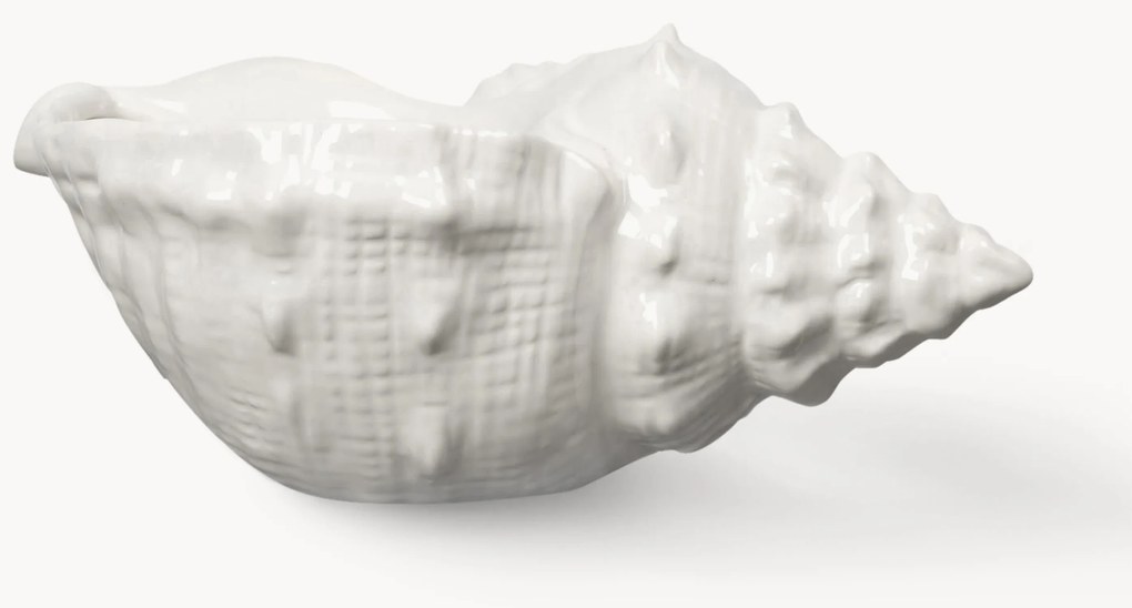 Schaal Awa van dolomiet