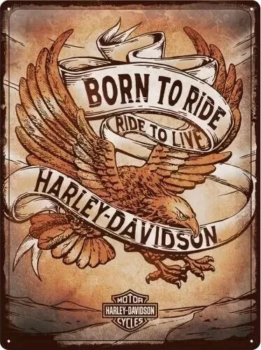 Metalen bord Harley-Davidson - Born to Ride