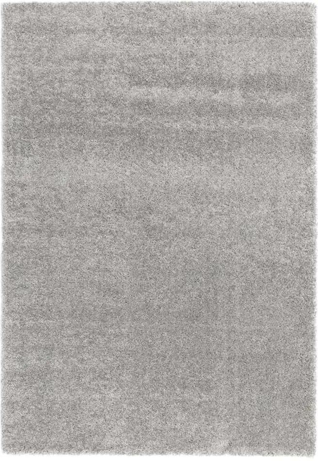 Interpretatief Ongeëvenaard Dronken worden Vloerkleed Haris - grijs - 160x230 cm - Leen Bakker | BIANO