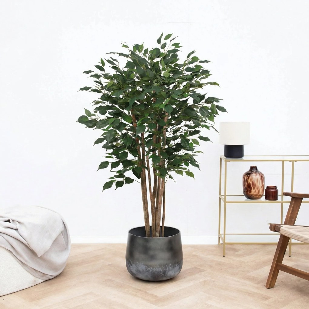 Kunst Ficus Benjamina - 150cm