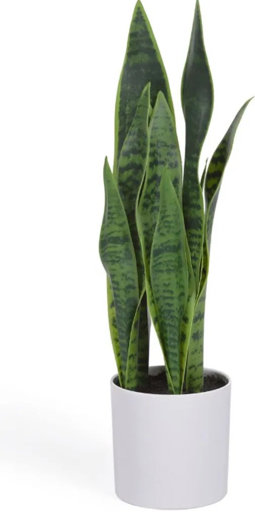 Kave Home Sansevieria Kunstplant Vrouwentong 55 Cm
