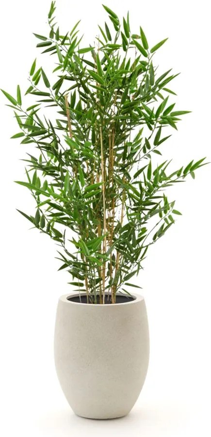 Kunstplant Designplants Luca Lifestyle | Groen Kunststof  | Inclusief bloempot | ø50x50cm | Geschikt voor buiten en binnen | Kees Smit Tuinmeubelen