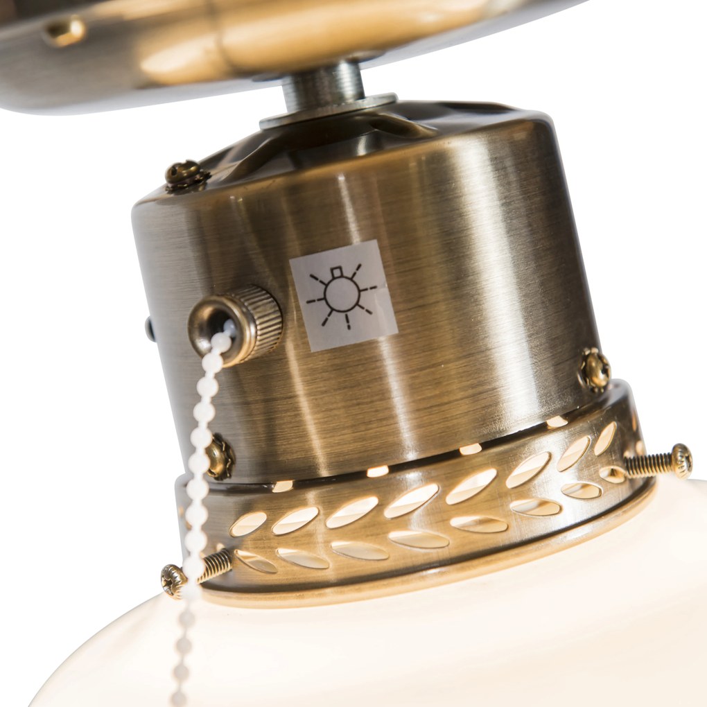 Industriële plafondventilator met lamp 100 cm hout - Wind