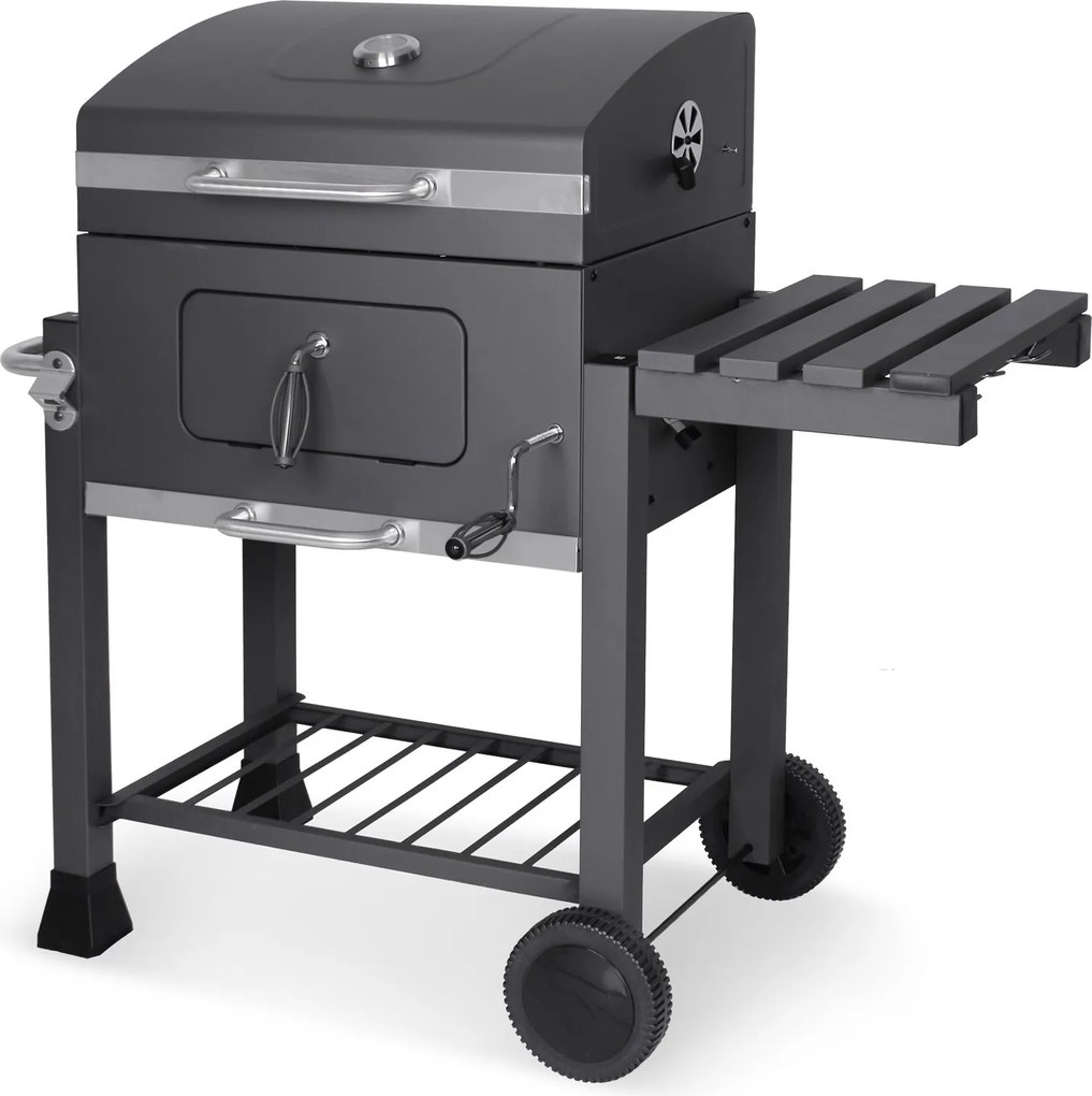 Famiflora Houtskool BBQ Illinois - BBQ grilloppervlak 55x41cm - Met thermometer