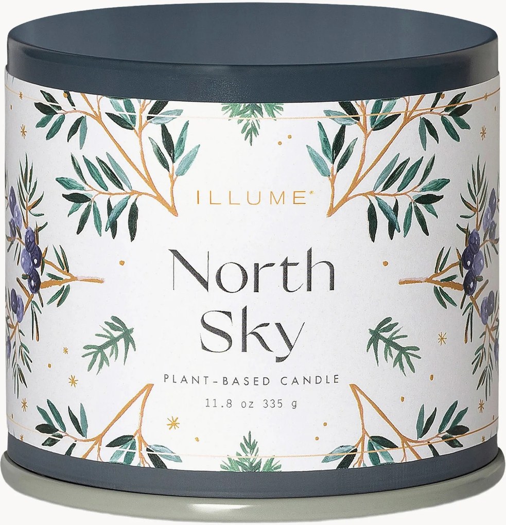 Geurkaars North Sky (citrusvruchten, zwarte bes, ebbenhout)