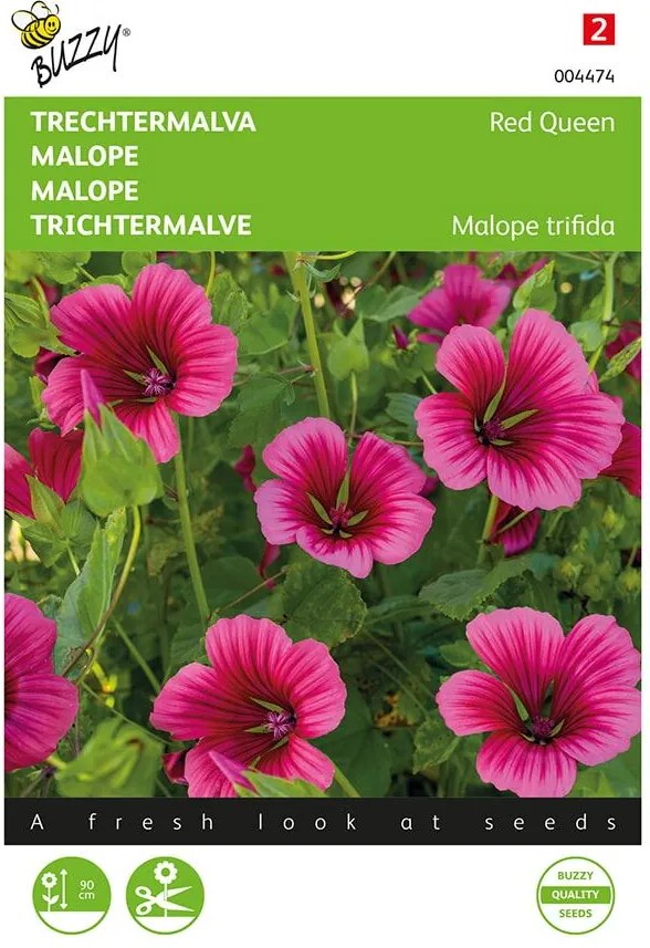 Buzzy seeds - bloemzaden - Malope, Trechtermalva Red Queen