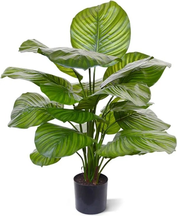 Kunstplant Designplants Calathea Fasciata | Groen Kunststof  | Kees Smit Tuinmeubelen
