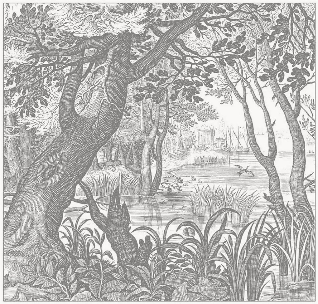 Vliesbehang Engraved Landscapes
