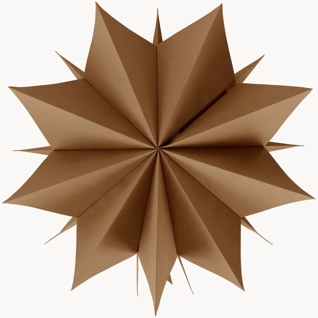 Lichtdecoratie Polaris Star