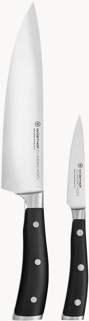 Messenset Classic Icon van edelstaal, 2-delig