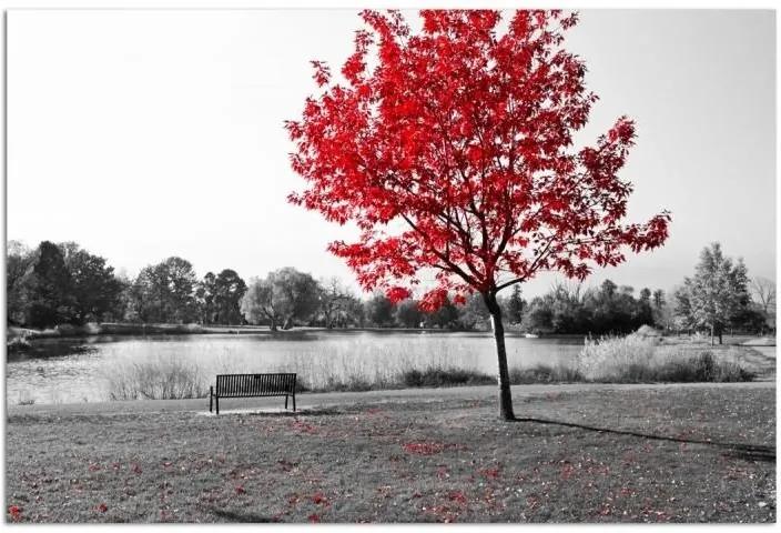 Schilderij - Rode boom in zwart en wit, 1 deel
