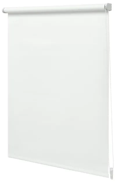 Intensions Rolgordijn 180x190x5cm lichtdoorlatend Polyester met kunststof raamwerk Wit 1187107