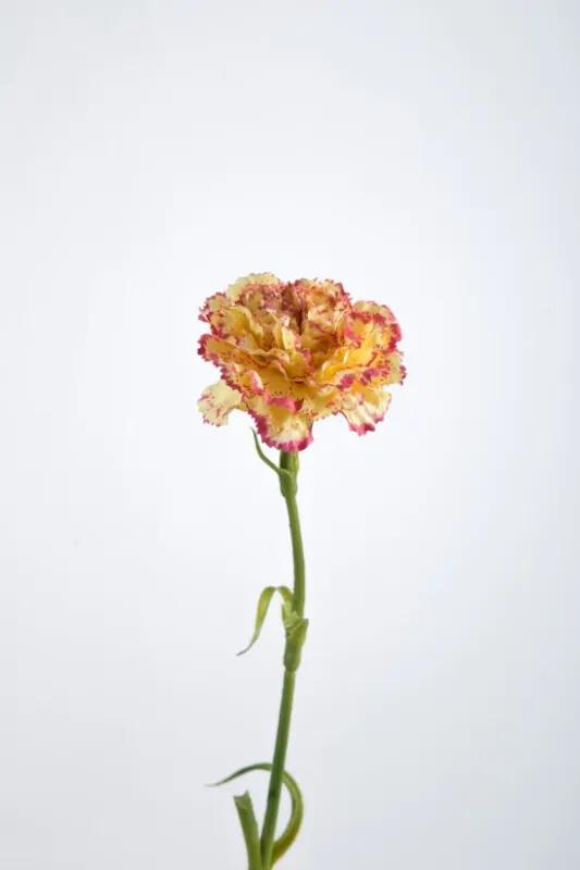 Anjer - zijden bloem - geel met rood - topkwaliteit zijde bloemen