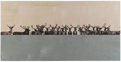 StoryWood Deer Wanddecoratie 150 x 75 cm